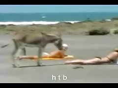 linda morena quero ver um filme de sexo brasileiro de rosto em meias pretas faz sexo suave com um estranho